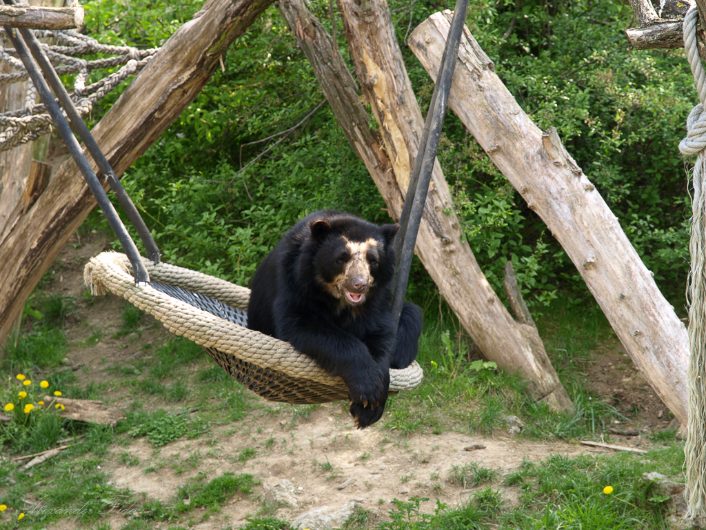 Tiergarten Schönbrunn