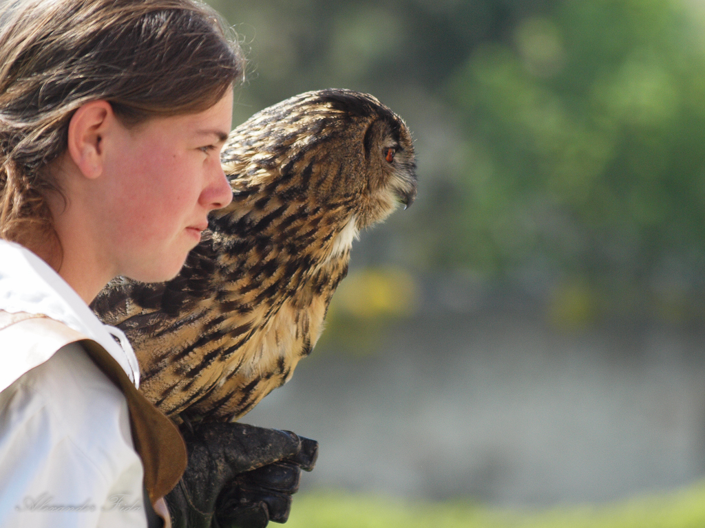 Renaissanceschloss Rosenburg