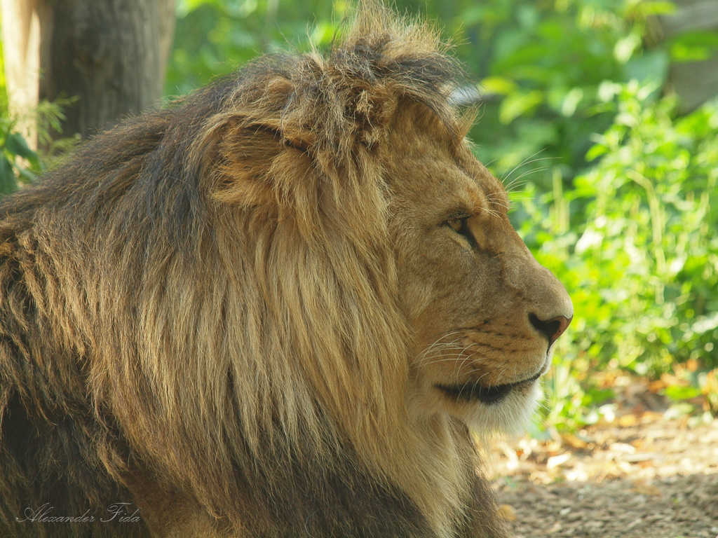 Tiergarten Schönbrunn