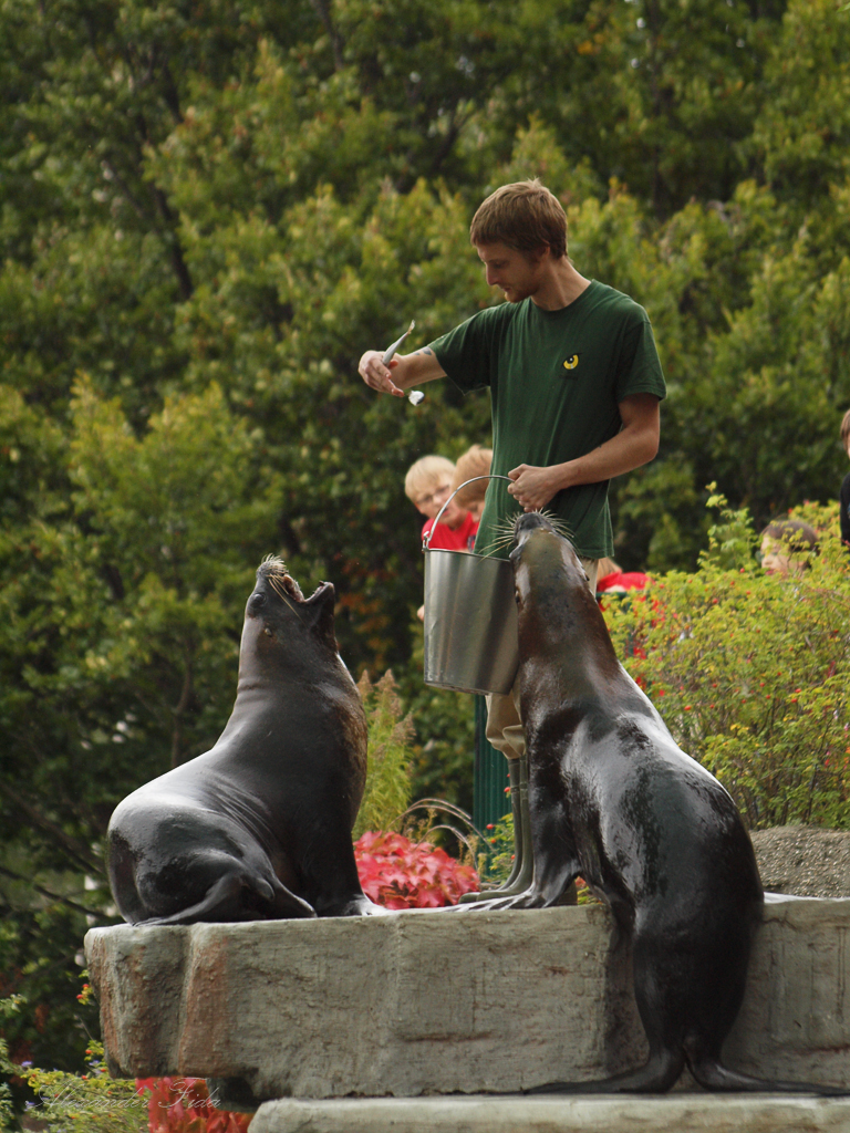 Tiergarten Schönbrunn