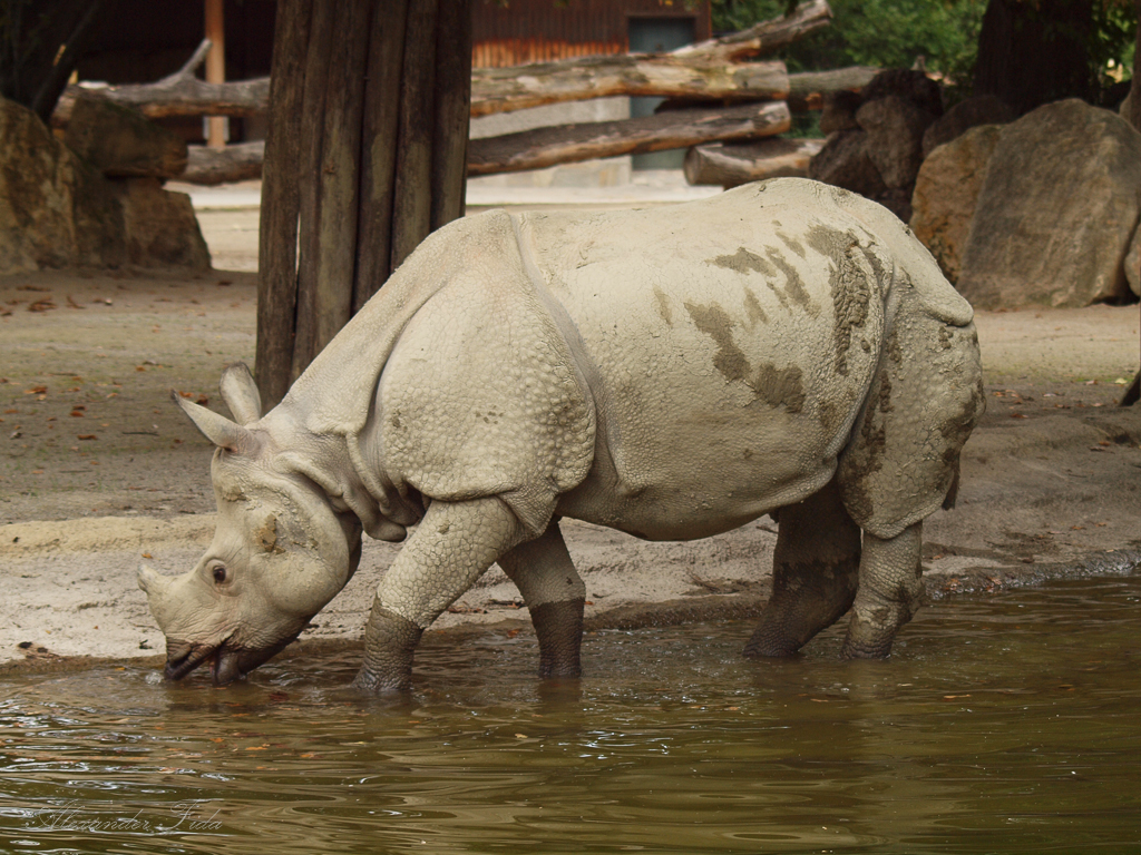 Tiergarten Schönbrunn